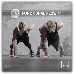 Functional Flow #1