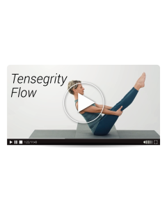 Tensegrity Flow (MasterClass)