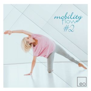 Mobility Flow #2