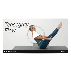 Tensegrity Flow (MasterClass)