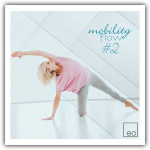 Mobility Flow #2