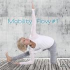 Mobility Flow #1