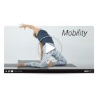 Mobility